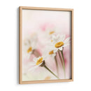 Flores Aglow Iii - Judy Stalus | Cuadro decorativo de Canvas Lab