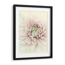 Flores Aglow Iv - Judy Stalus | Cuadro decorativo de Canvas Lab