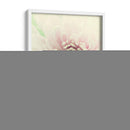 Flores Aglow Iv - Judy Stalus | Cuadro decorativo de Canvas Lab