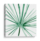 Palma I - Melissa Wang | Cuadro decorativo de Canvas Lab