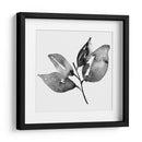 Feuille I - Melissa Wang | Cuadro decorativo de Canvas Lab