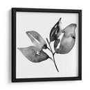 Feuille I - Melissa Wang | Cuadro decorativo de Canvas Lab