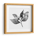 Feuille I - Melissa Wang | Cuadro decorativo de Canvas Lab