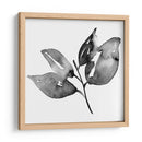 Feuille I - Melissa Wang | Cuadro decorativo de Canvas Lab