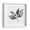 Feuille I - Melissa Wang | Cuadro decorativo de Canvas Lab