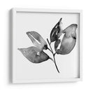 Feuille I - Melissa Wang | Cuadro decorativo de Canvas Lab