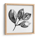 Feuille Ii - Melissa Wang | Cuadro decorativo de Canvas Lab