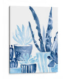 Indigo Suculent Iii - June Erica Vess | Cuadro decorativo de Canvas Lab