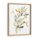 Sage Y Sienna Se Va Ii - Jennifer Goldberger | Cuadro decorativo de Canvas Lab