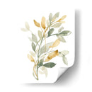 Sage Y Sienna Se Va Ii - Jennifer Goldberger | Cuadro decorativo de Canvas Lab