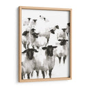 Contando Ovejas Ii - Ethan Harper | Cuadro decorativo de Canvas Lab