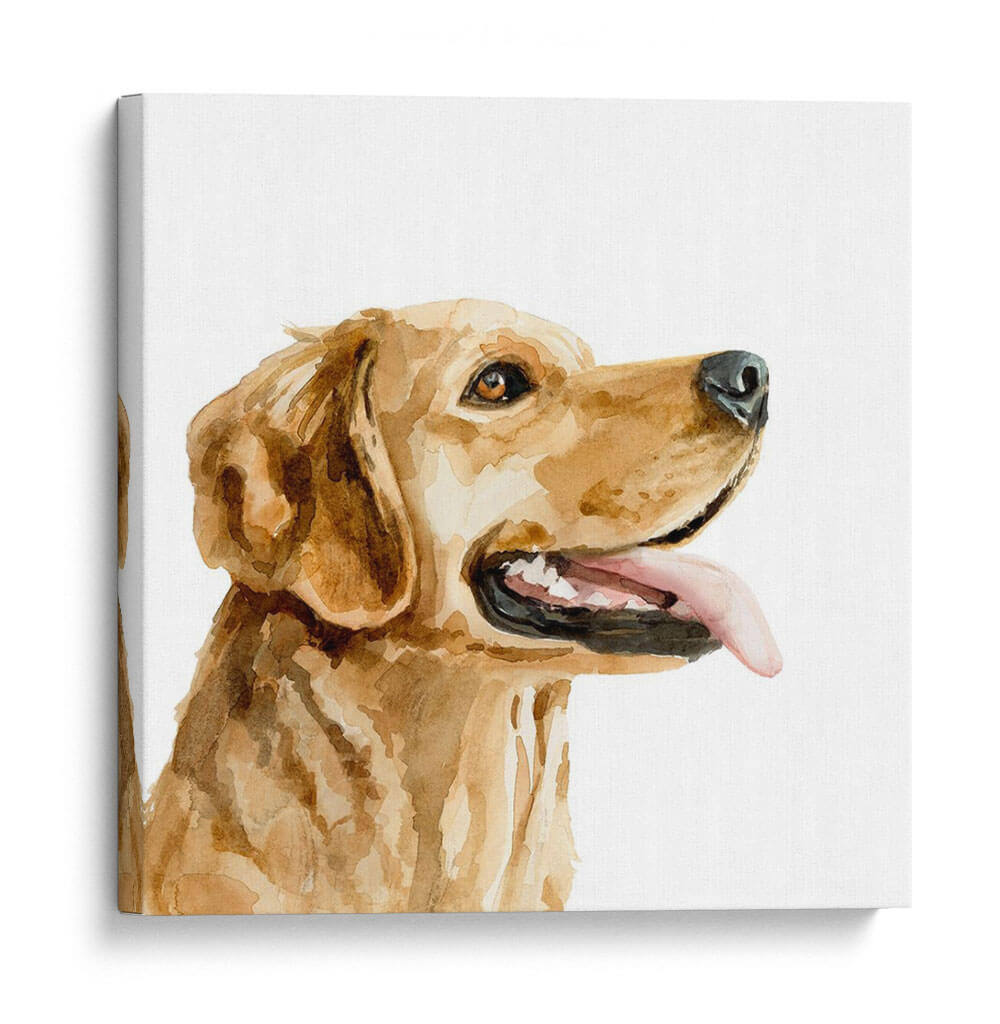 Perfil De Mascotas Ii - Susan Savory | Cuadro decorativo de Canvas Lab