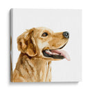 Perfil De Mascotas Ii - Susan Savory | Cuadro decorativo de Canvas Lab