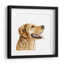 Perfil De Mascotas Ii - Susan Savory | Cuadro decorativo de Canvas Lab