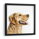 Perfil De Mascotas Ii - Susan Savory | Cuadro decorativo de Canvas Lab