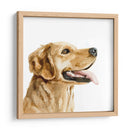 Perfil De Mascotas Ii - Susan Savory | Cuadro decorativo de Canvas Lab