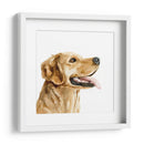 Perfil De Mascotas Ii - Susan Savory | Cuadro decorativo de Canvas Lab