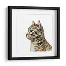 Perfil De Mascotas Iii - Susan Savory | Cuadro decorativo de Canvas Lab