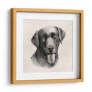 Labrador De Carbón I - Grace Popp | Cuadro decorativo de Canvas Lab