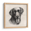 Labrador De Carbón I - Grace Popp | Cuadro decorativo de Canvas Lab