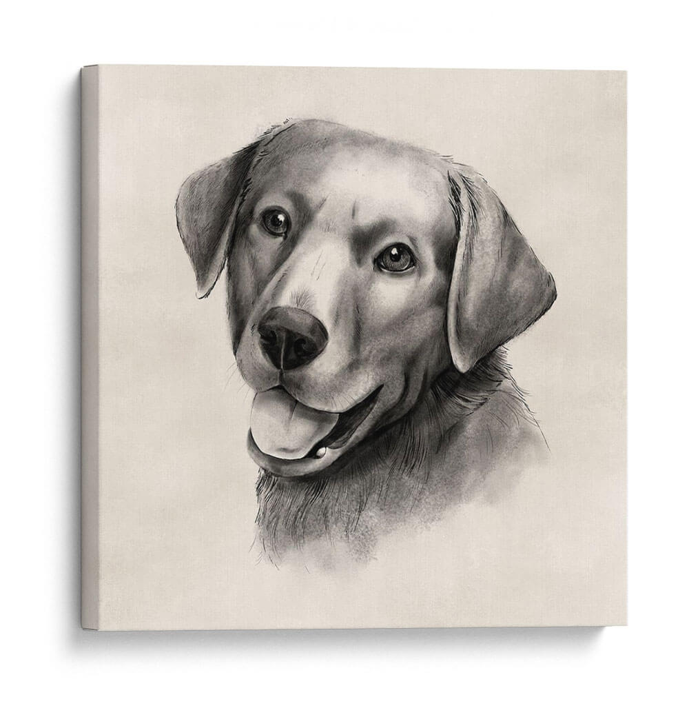 Labrador De Carbón Ii - Grace Popp | Cuadro decorativo de Canvas Lab