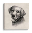 Labrador De Carbón Ii - Grace Popp | Cuadro decorativo de Canvas Lab