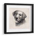 Labrador De Carbón Ii - Grace Popp | Cuadro decorativo de Canvas Lab
