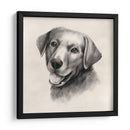 Labrador De Carbón Ii - Grace Popp | Cuadro decorativo de Canvas Lab