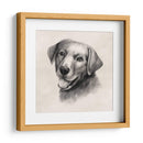 Labrador De Carbón Ii - Grace Popp | Cuadro decorativo de Canvas Lab