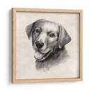 Labrador De Carbón Ii - Grace Popp | Cuadro decorativo de Canvas Lab