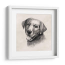 Labrador De Carbón Ii - Grace Popp | Cuadro decorativo de Canvas Lab