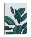 Verdante Ficus I - Grace Popp | Cuadro decorativo de Canvas Lab