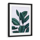 Verdante Ficus I - Grace Popp | Cuadro decorativo de Canvas Lab