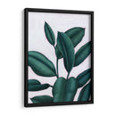 Verdante Ficus I - Grace Popp | Cuadro decorativo de Canvas Lab