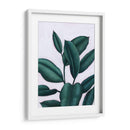 Verdante Ficus I - Grace Popp | Cuadro decorativo de Canvas Lab