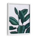 Verdante Ficus I - Grace Popp | Cuadro decorativo de Canvas Lab