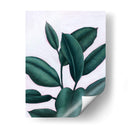 Verdante Ficus I - Grace Popp | Cuadro decorativo de Canvas Lab