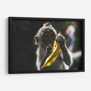 Mono con banana | Cuadro decorativo de Canvas Lab