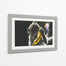 Mono con banana | Cuadro decorativo de Canvas Lab