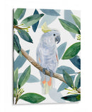 Cockatoo Perch I - Jacob Green | Cuadro decorativo de Canvas Lab