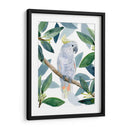 Cockatoo Perch I - Jacob Green | Cuadro decorativo de Canvas Lab