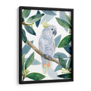 Cockatoo Perch I - Jacob Green | Cuadro decorativo de Canvas Lab
