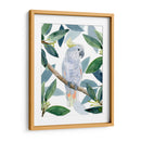 Cockatoo Perch I - Jacob Green | Cuadro decorativo de Canvas Lab