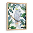 Cockatoo Perch I - Jacob Green | Cuadro decorativo de Canvas Lab