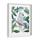 Cockatoo Perch I - Jacob Green | Cuadro decorativo de Canvas Lab