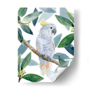 Cockatoo Perch I - Jacob Green | Cuadro decorativo de Canvas Lab