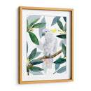Cockatoo Perca Ii - Jacob Green | Cuadro decorativo de Canvas Lab