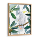 Cockatoo Perca Ii - Jacob Green | Cuadro decorativo de Canvas Lab