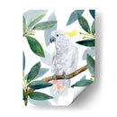 Cockatoo Perca Ii - Jacob Green | Cuadro decorativo de Canvas Lab
