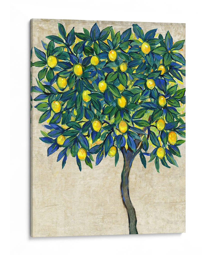 Composición De Árbol De Limón I - Tim OToole | Cuadro decorativo de Canvas Lab